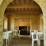 Cuprena Arezzo