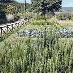 Κατάλυμα σε φάρμα Cuprena Αρέτσο