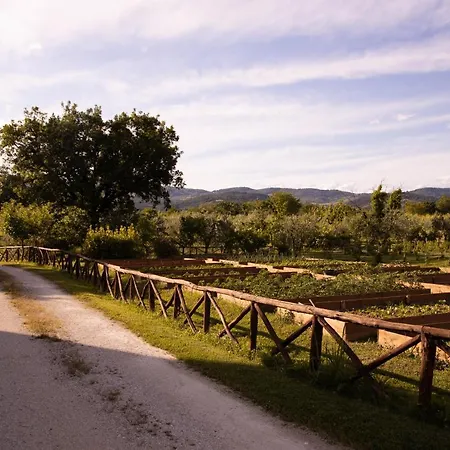 Cuprena Farm stay Arezzo