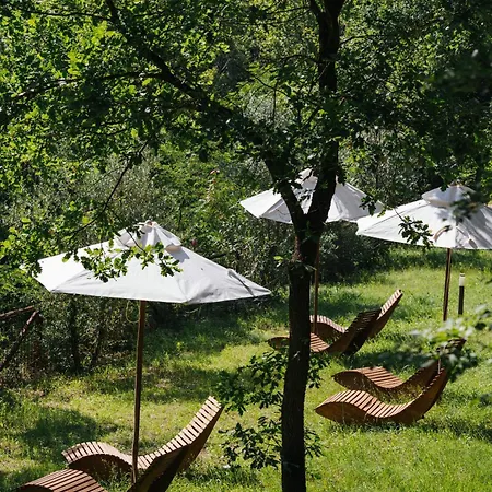Cuprena Farm stay Arezzo