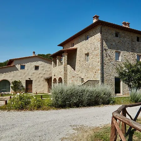 Cuprena * Arezzo