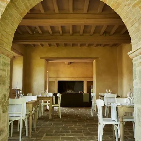 Cuprena Arezzo