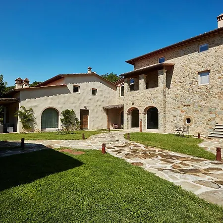 Cuprena * Arezzo