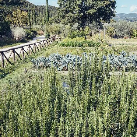 Alojamento de Turismo Rural Cuprena Arezzo